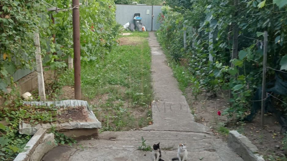 Casa de vanzare in Targu Trotus - Poză 2