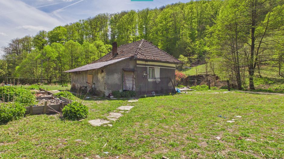 Teren  pentru investiții  în Luncoiu de Jos - Poză 8