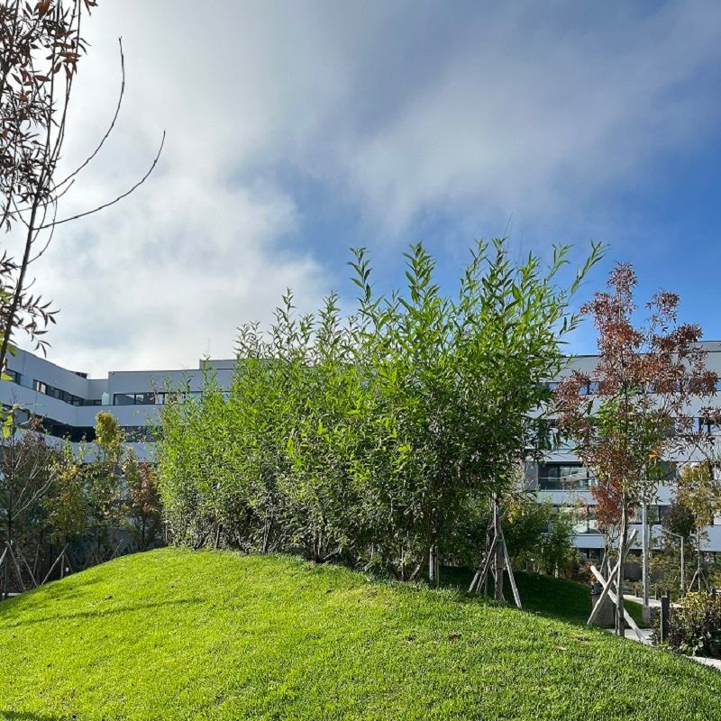 Apartament 4 camere Sector 1 Zona Mall Colosseum - Poză 23