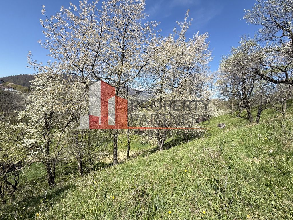 Teren 2500 mp Sohodol - Poză 13