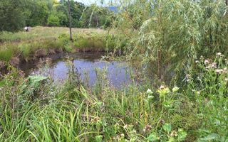 VANZARE ANSAMBLU CASUTE BRADULET ARGES - Poză 21