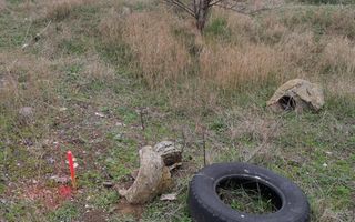 TEREN INTRAVILAN 306 mp – Palazu Mare, Constanta - Ocazie Unica - Poză 6