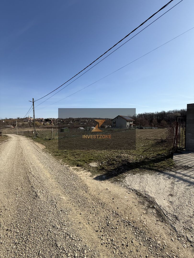 Teren intravilan 700 mp cu utilități în Paleu - Poză 4