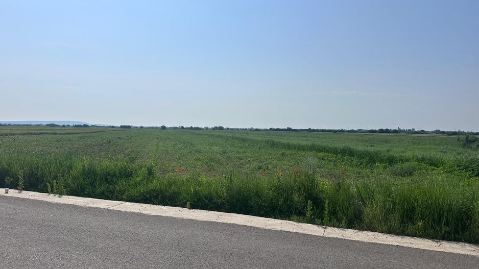 VÂNZARE TEREN MATRACA - Poză 1