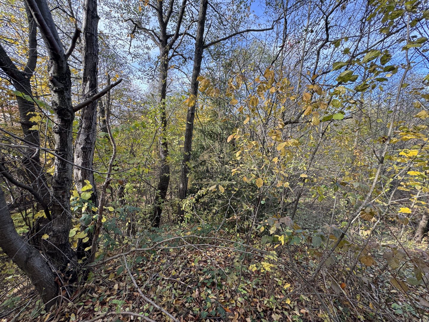 TEREN INTRAVILAN 13167 MP BUGHEA DE SUS ARGES - Poză 24