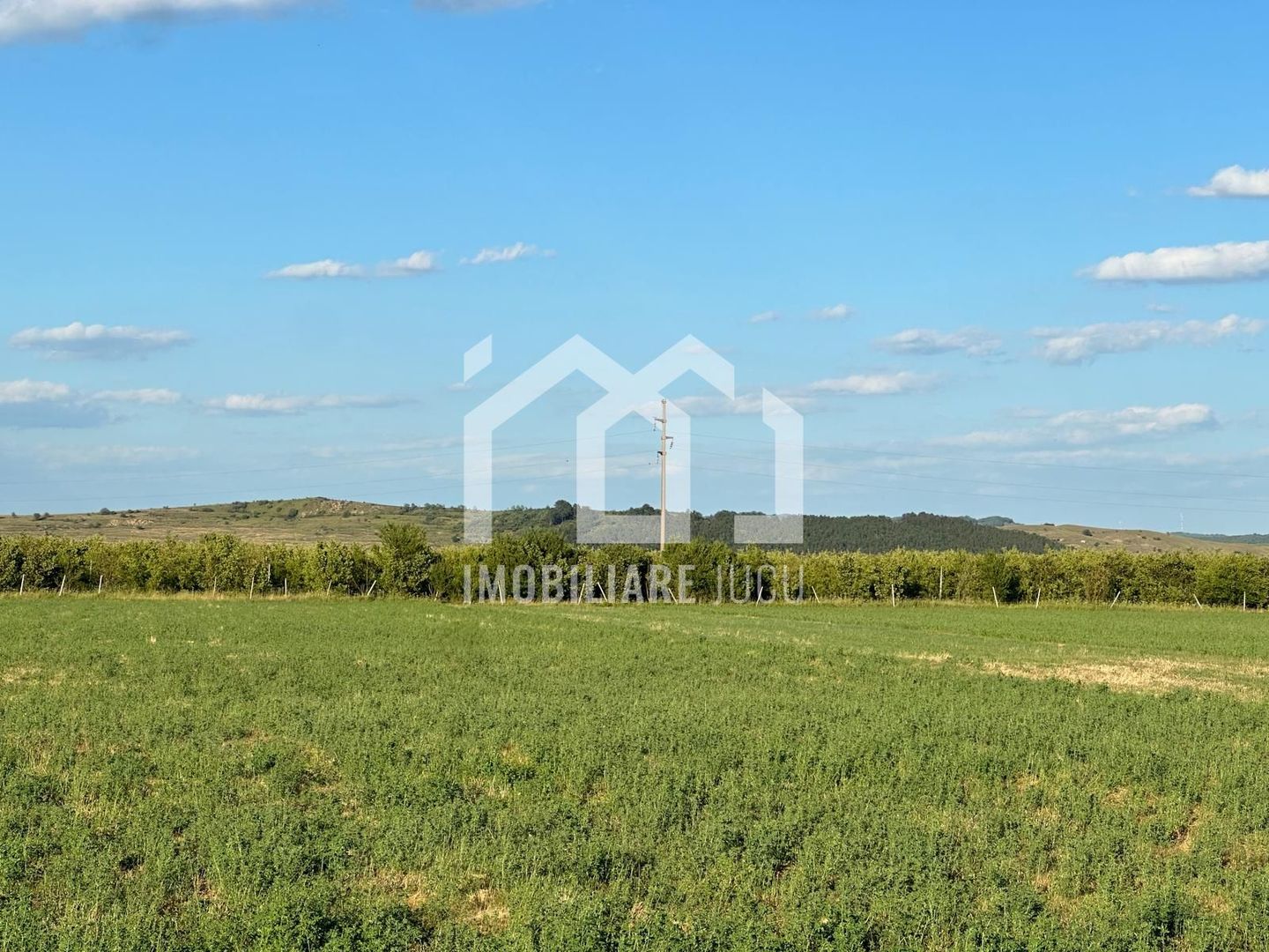 Sistematizare 6 parcele indviduale si 1 duplex, intravilan Jucu de Sus - Poză 4