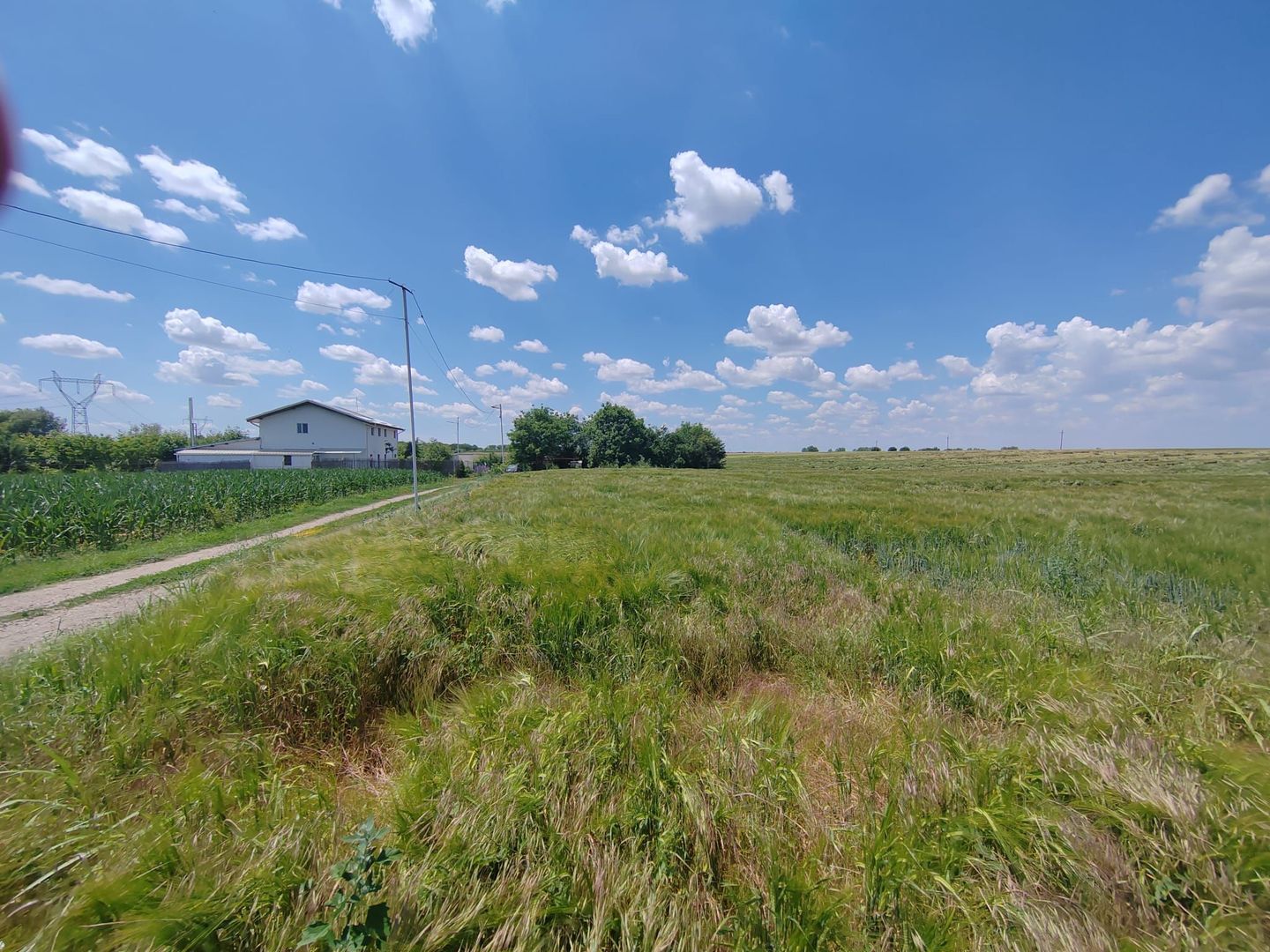 Frumusani Postavari 30 minute de Aparatorii Patriei super oferta 7 eur - Poză 6