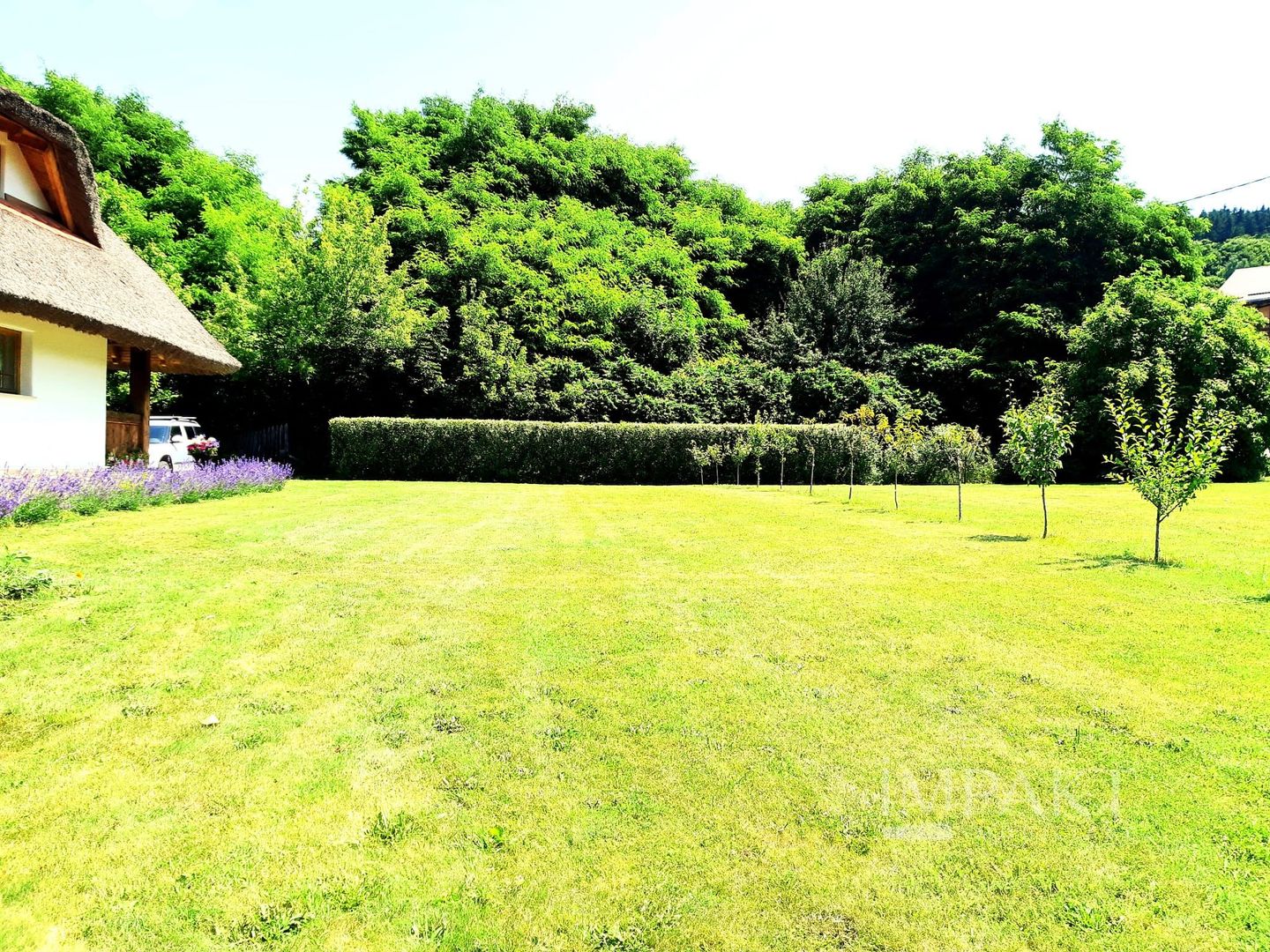 Casa traditionala de vis, aproape de Cluj-Napoca - Poză 5