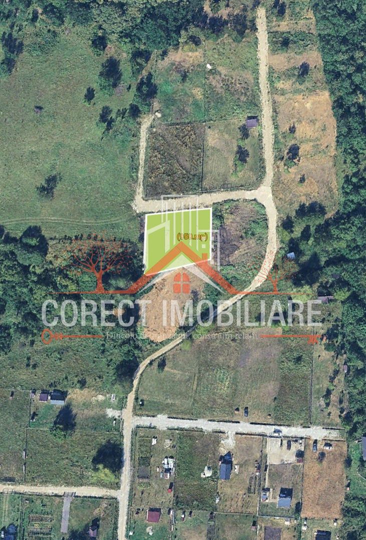 🌿 Teren de vânzare – Valea Budacului - Poză 4