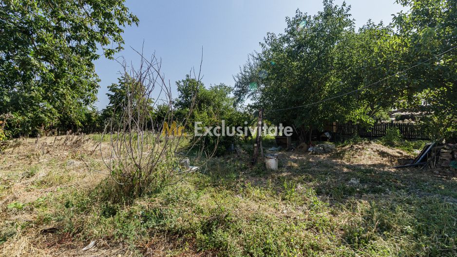 teren 3889 mp Domnesti Primarie - Poză 7
