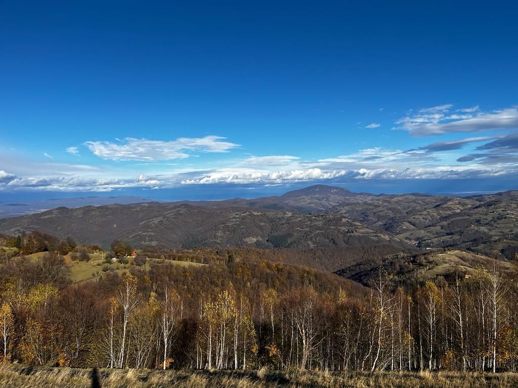 Teren extravilan 2ha, priveliste panoramica spre munti /Poiana Marului - Poză 4