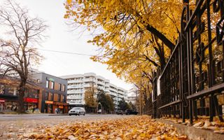 Apartament 2 camere open-space Royal Town Copou - Poză 27