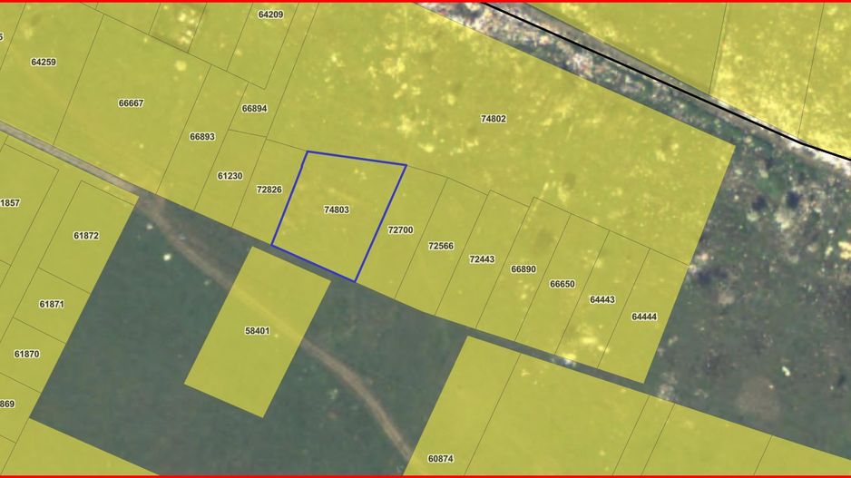 MAGURELE, TEREN 763 MP! - Poză 5