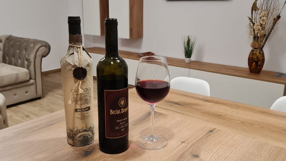 Giroc-Lidl | 2 Camere | Lift | Parcare subterana | - Poză 9