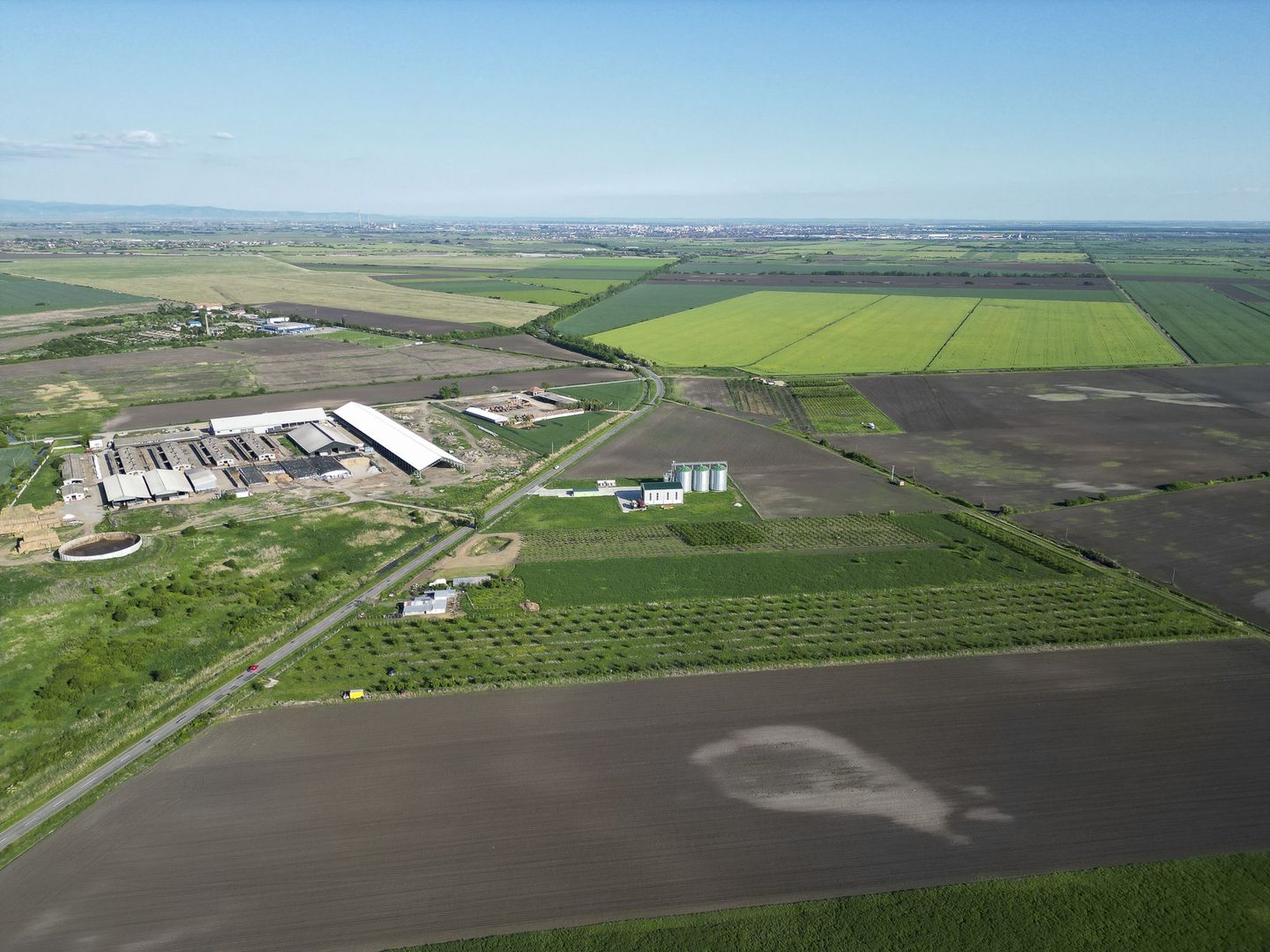 Livadă de nuci și pruni 2.4ha în Variașu Mare - Poză 4