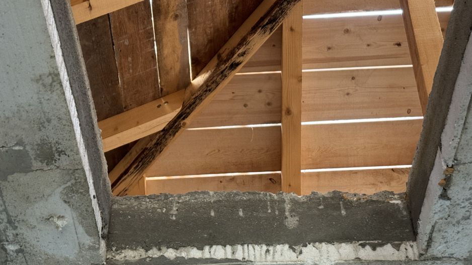 Individuala Parter Sanmihaiu Roman,4 Camere,2 Bai,Proiect Modern,Curte Amenajata - Poză 12