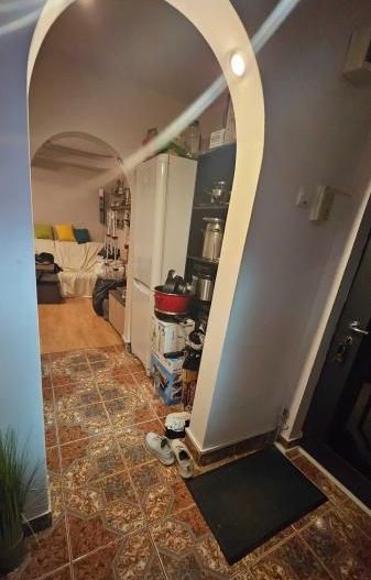 APARTAMENT COCHET ZONA TEIUL DOAMNEI - Poză 4