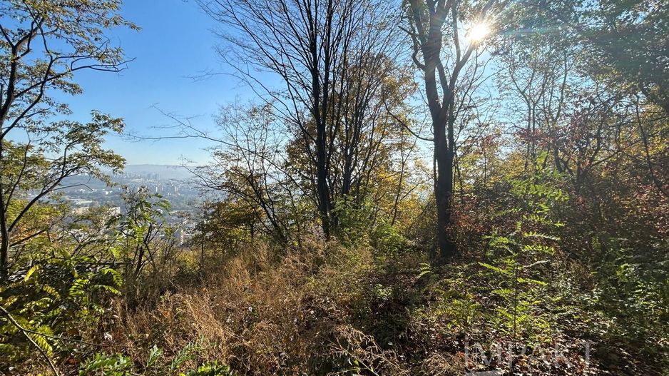 Comision 0%! Vanzare teren in Grigorescu, strada Nicolae Patrascu! - Poză 2