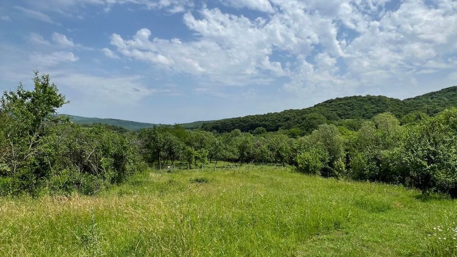 Casă de Vacanță cu Priveliște Panoramică pe Valea Unghiului - Poză 6