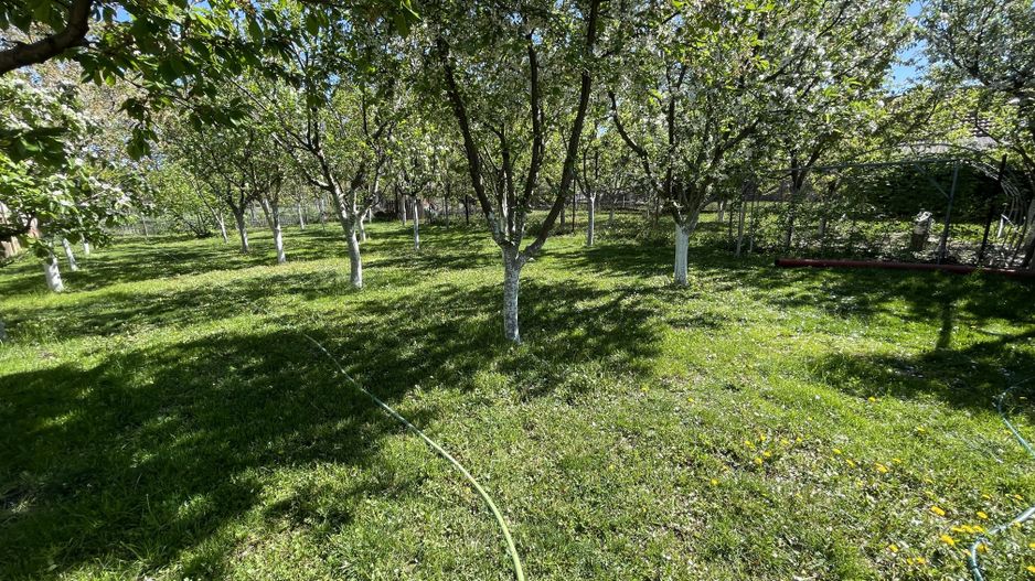 Casa cu teren frumos si garaj zona Mehala - Poză 22