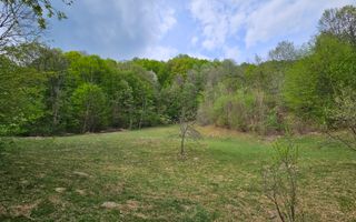 Teren intravilan 1454 mp la marginea padurii zona locuita de case! - Poză 4