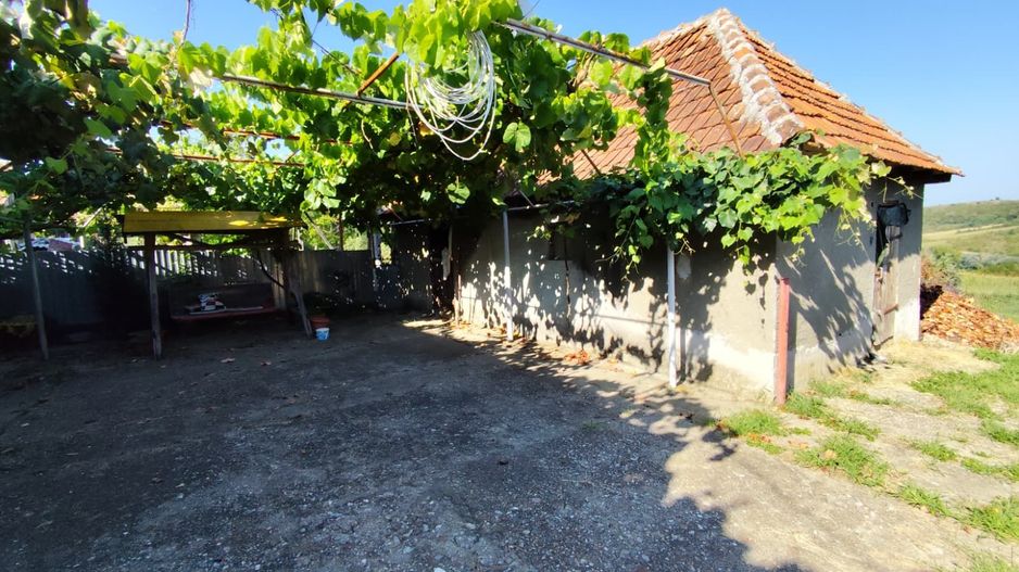 Casa la tara, Calea Mare, Bihor, teren mare, 2 intrari auto – vanzare - Poză 4