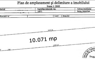Teren intravilan de vanzare cu o suprafata de 10071 mp in Paleu,Bihor - Poză 1