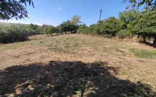 Teren intravilan | Mănăstioara – Siret | 2.200 mp - Poză 5