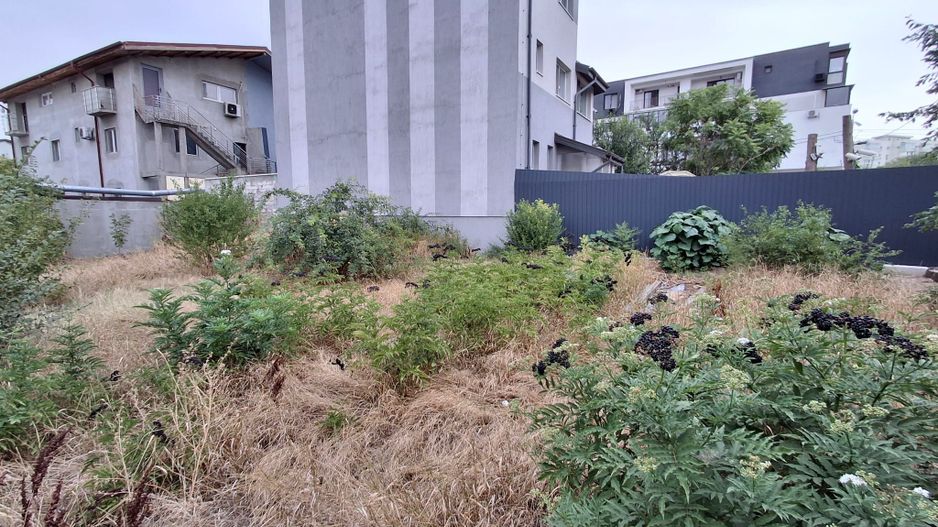 Teren de vanzare - zona Maior Colentina - Poză 15