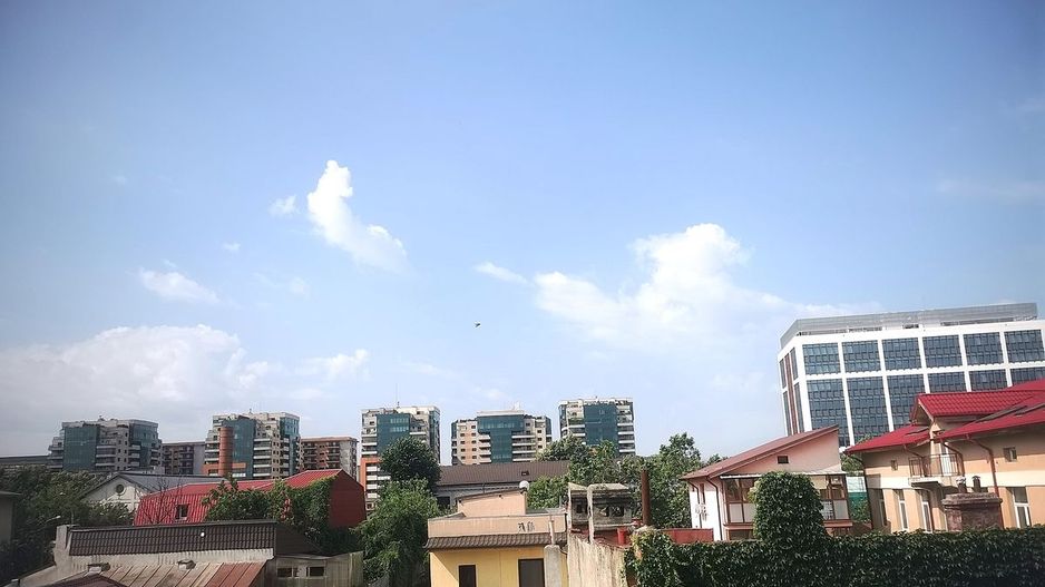 Apartament Plevnei / Orhideea - Poză 14