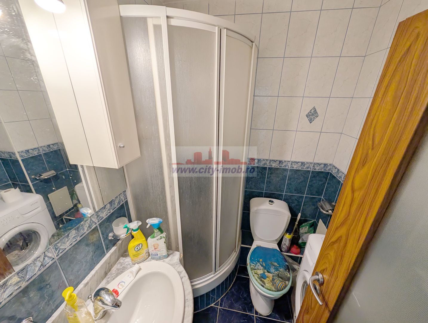 Vanzare Apartament 3 camere Curtea de Arges, Judetul ARGES - Poză 22
