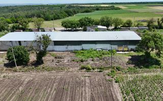Fabrică funcțională cu profit și acces direct la R2 - Poză 7
