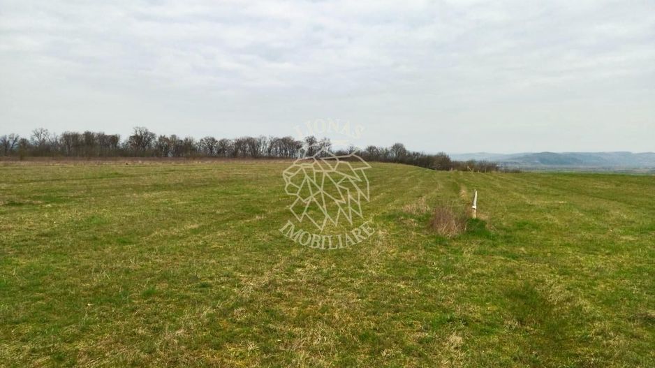 4 Loturi diferite-ideal cabane/investitii-Beclean 1 km de Baile Figa - Poză 2