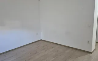 Casa individuala parter, Domnesti, zona Craitei-Foisorului. Investitie buna. - Poză 17