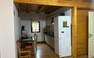 Casă de vacanță în Râu Sadului - Poză 4