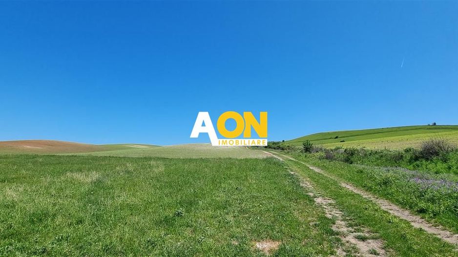 Teren de vanzare Alba Iulia Oarda de Sus - Poză 2