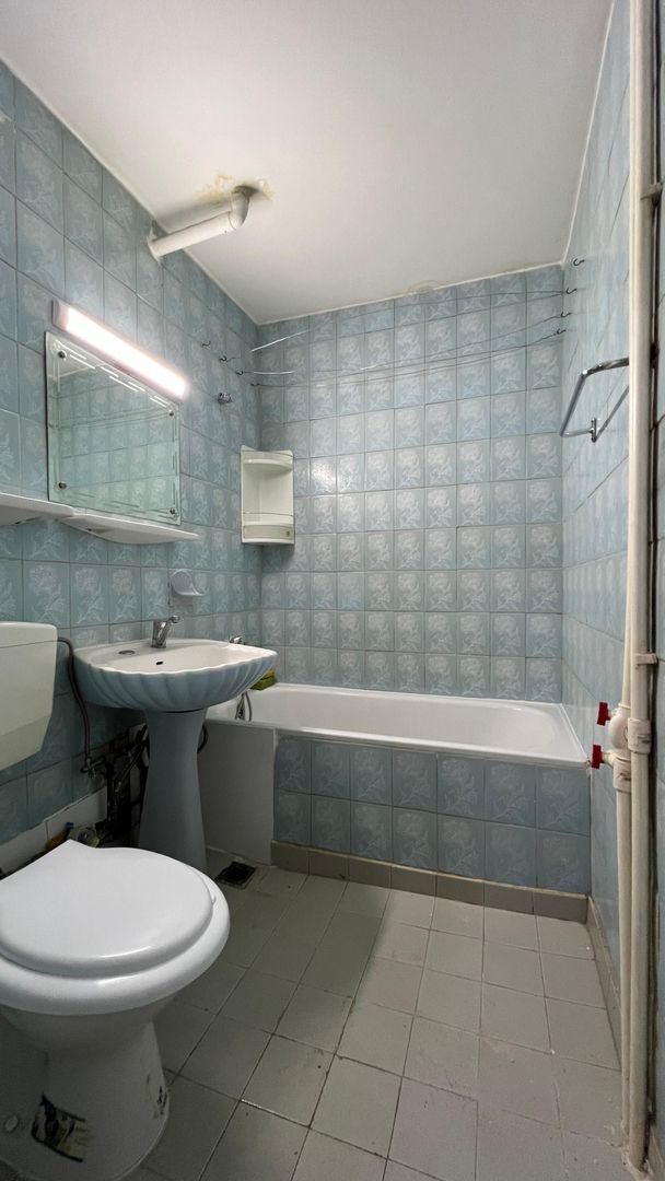 3 camere cu vedere la Parc Humulesti - Poză 12