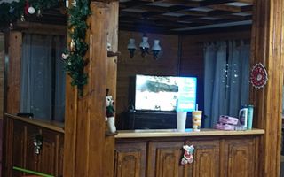 VILA 7 CAMERE TEREN 872 MP BUGHEA ARGES - Poză 16