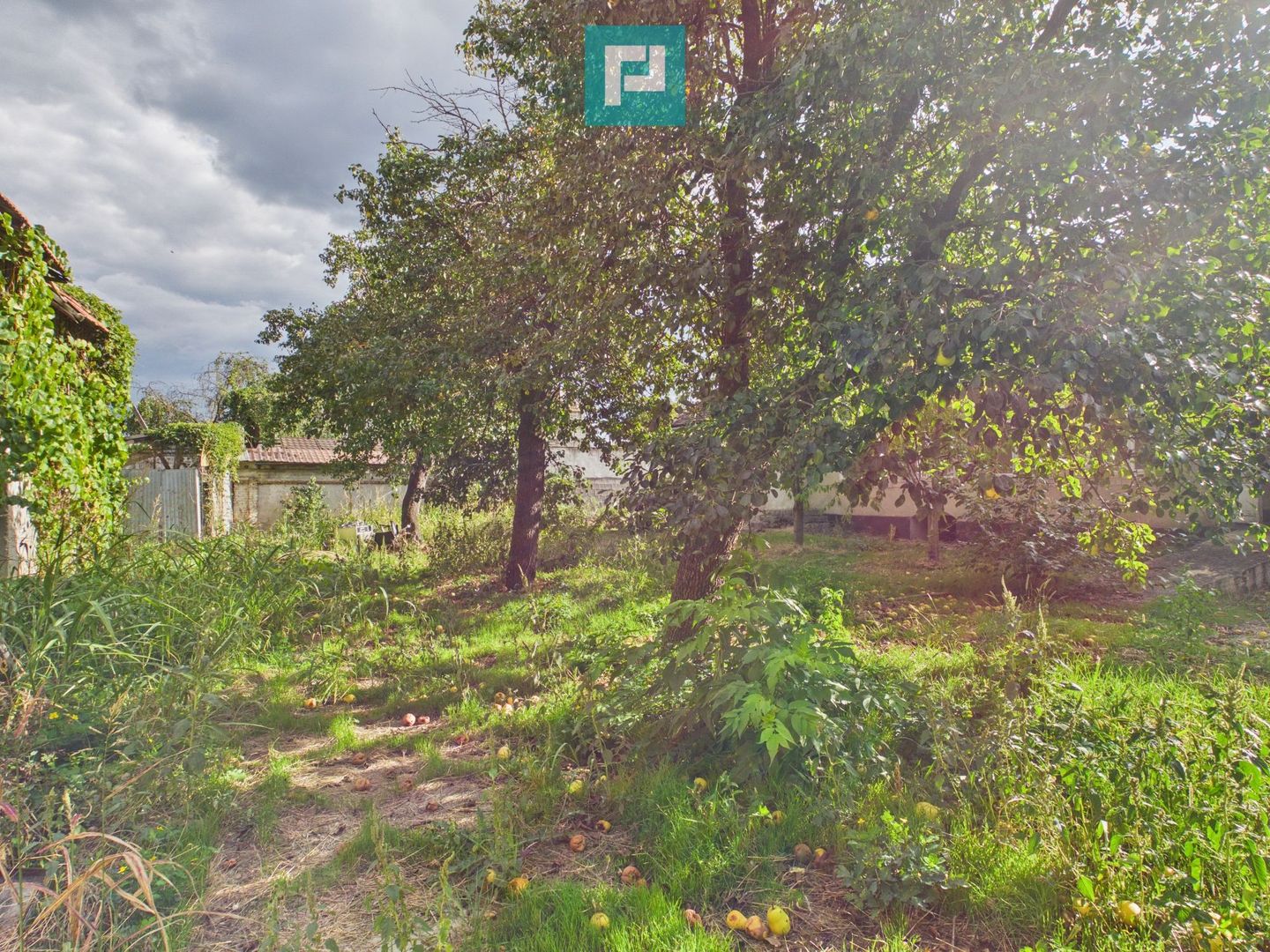 Casă cu teren de 1800 mp, în Buteni, Arad - Poză 19