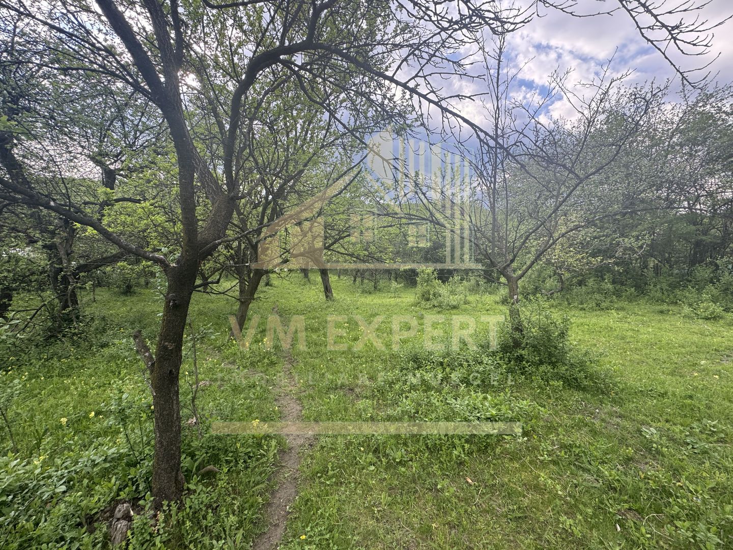 TEREN INTRAVILAN 7018 MP CAMPULUNG - Poză 18