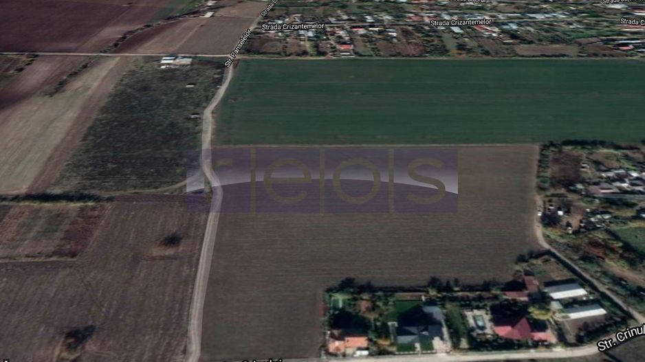 TEREN DE VANZARE 12760MP COMUNA DASCALU - Poză 7