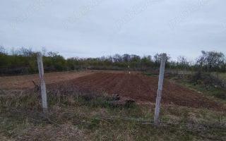 Teren intravilan 888 mp | Front 24 ml | Paleu - Poză 3