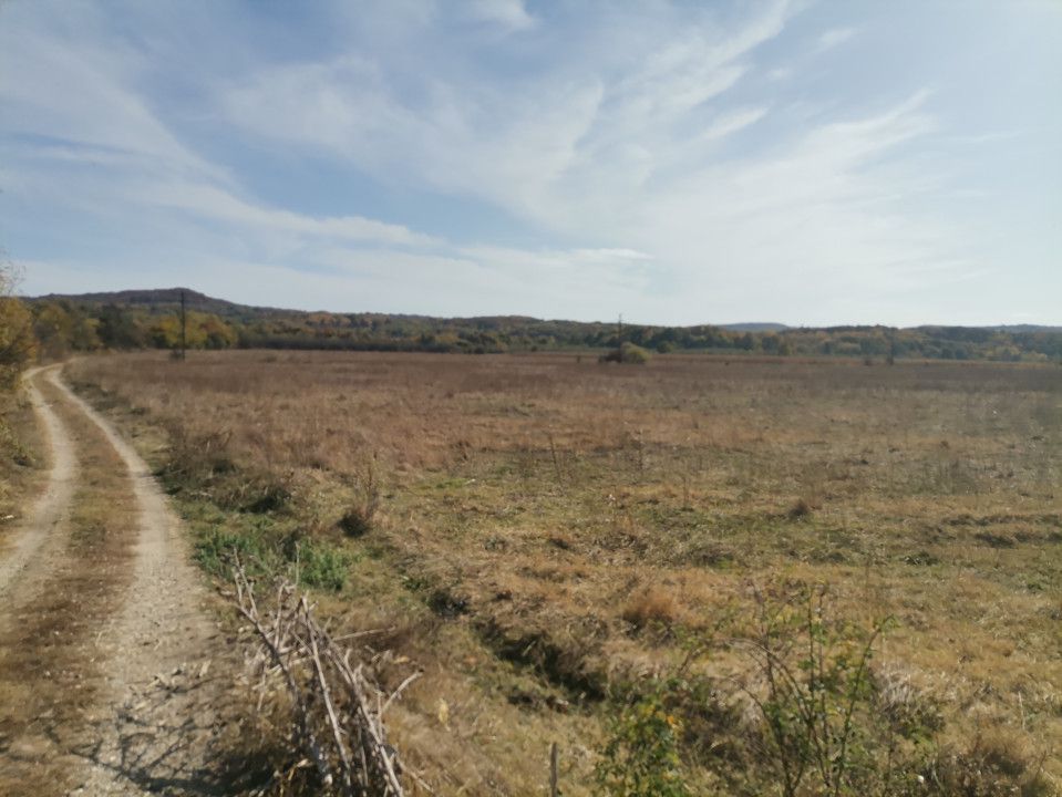 Vanzare teren arabil 22 Ha, plan, Arges, Moraresti - Poză 6