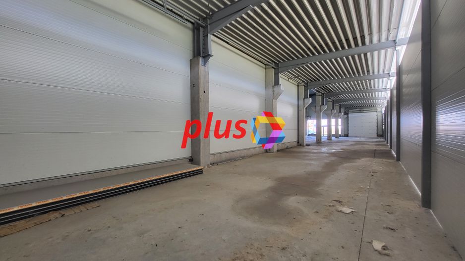 Hala de vanzare - 600 mp  #plus-imo.ro - Poză 6