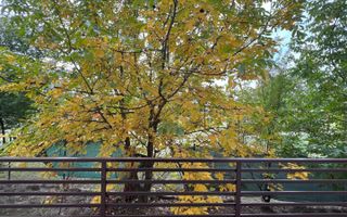 3 camere cu grădină proprie 128 mp - Poză 2