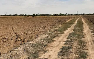 Teren, zona industriala, in Domnesti. Tarlaua 7, depozitele Logistics Park, A1 - Poză 13