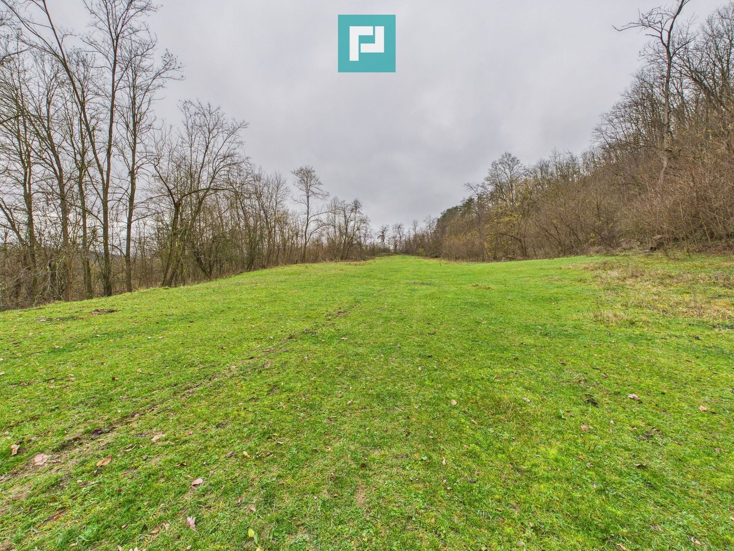 Casă cu teren de 24.679,73 mp, în Hălmagiu, Arad - Poză 19