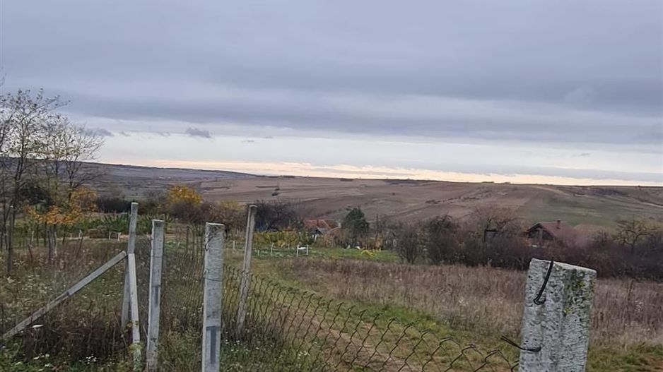 Teren Cetariu 9900 mp - Poză 2