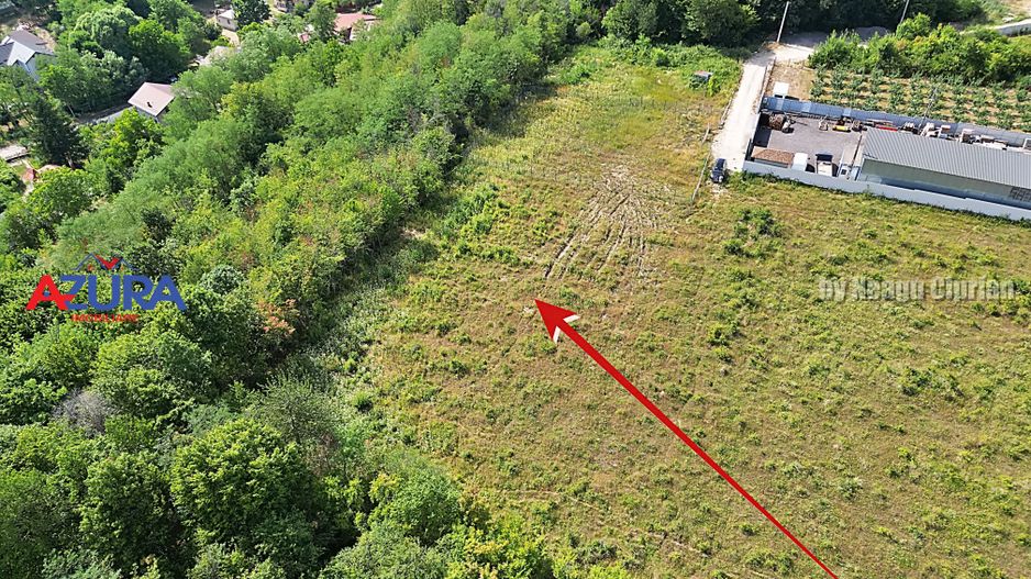AZURA Imobiliare - Vanzare teren Smeura, zona verde - Poză 4