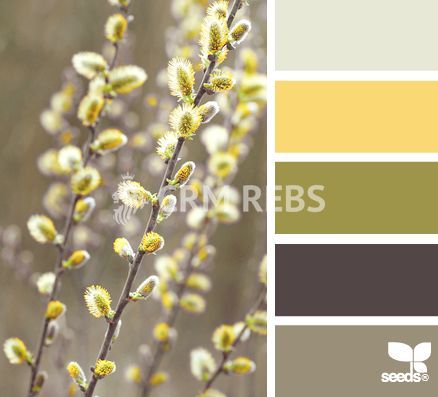 Apartament de vanzare la Blue Sky - Poză 34